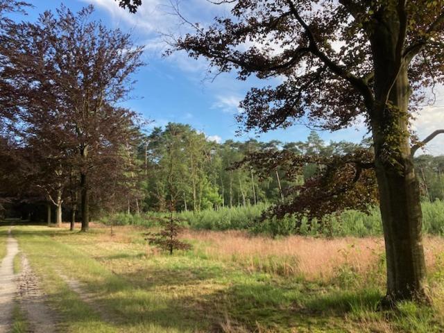 Kom Tot Rust In The Forest Putte Exterior photo
