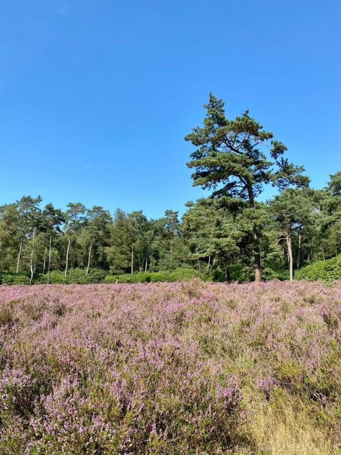 Kom Tot Rust In The Forest Putte Exterior photo